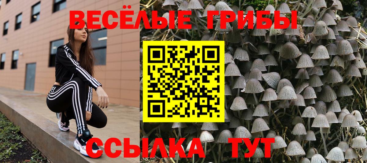 Галлюциногенные грибы Cubensis  Вход с VPN  Выкса 